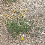 image5