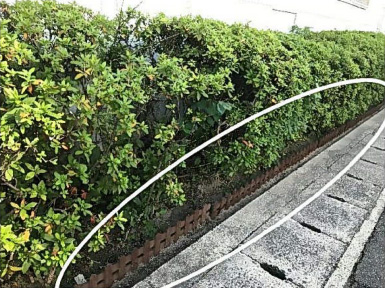 見える化情報「生垣編」 after